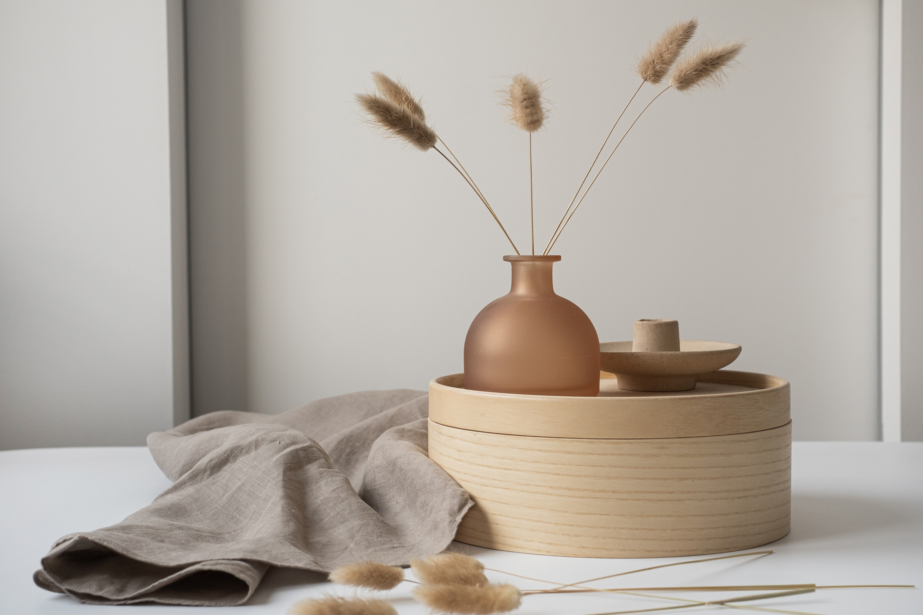 Bunny Tail Grass for Home Decoration 